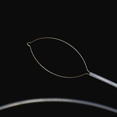 தாடை வகை வெளிநாட்டு உடல் படைகள்