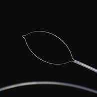 ப்ராங் வகை வெளிநாட்டு உடல் ஃபோர்செப்ஸ்